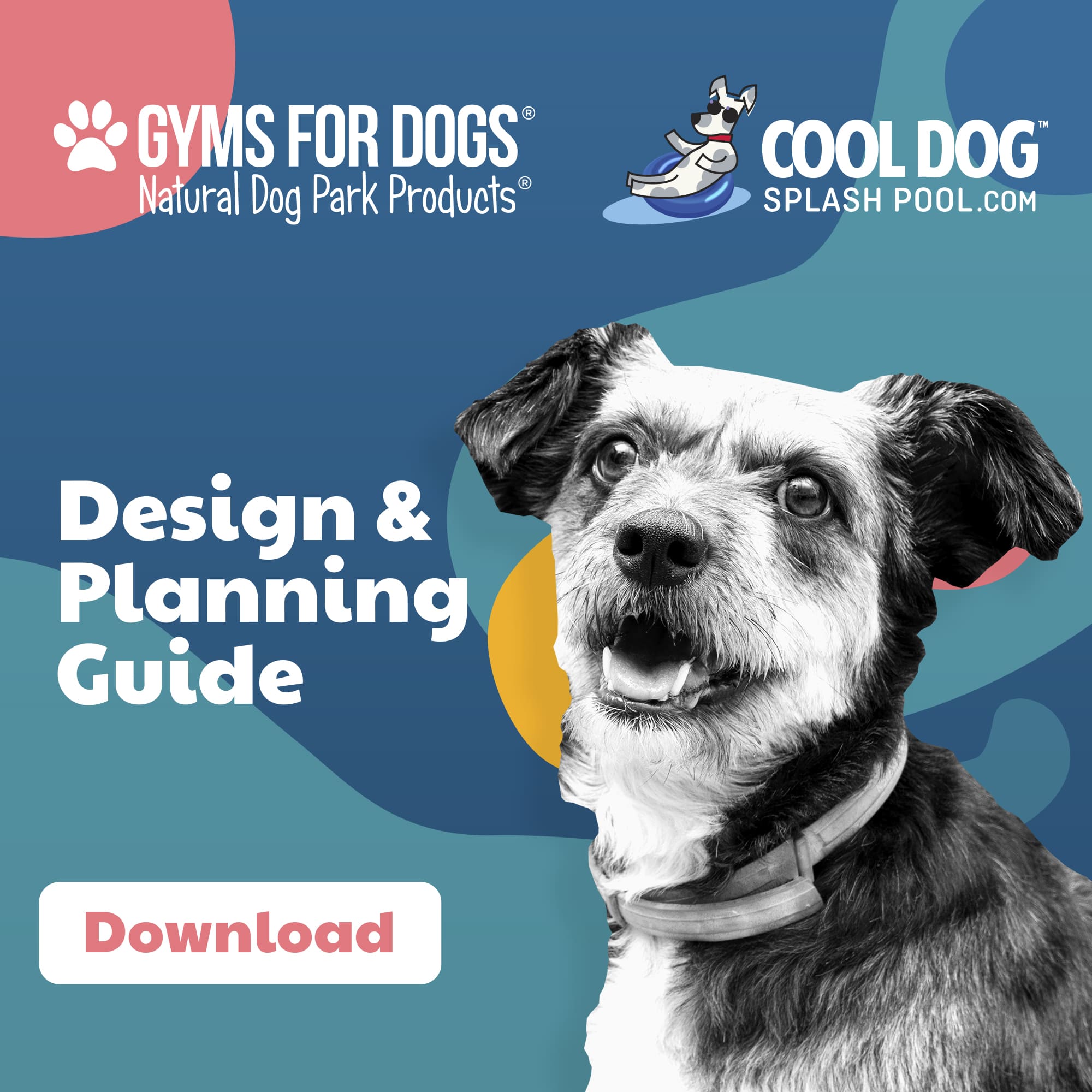 dog-splash-pool-design-planning-guide
