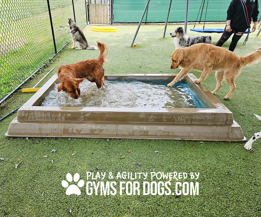 Dog Playground Equipment Cool Dog Splash Pool 037