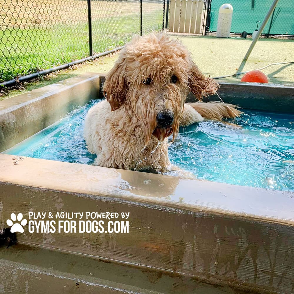 Dog Playground Equipment Cool Dog Splash Pool 076
