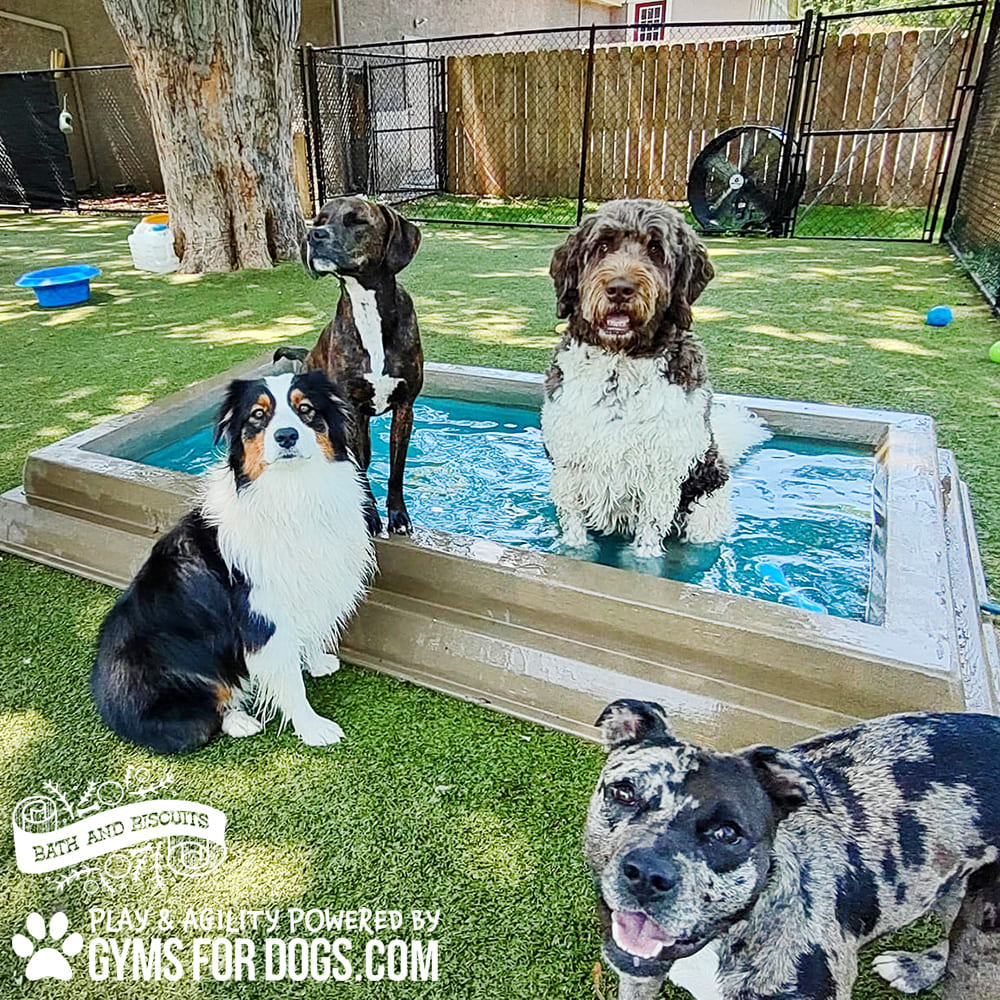 Dog Playground Equipment Cool Dog Splash Pool 08