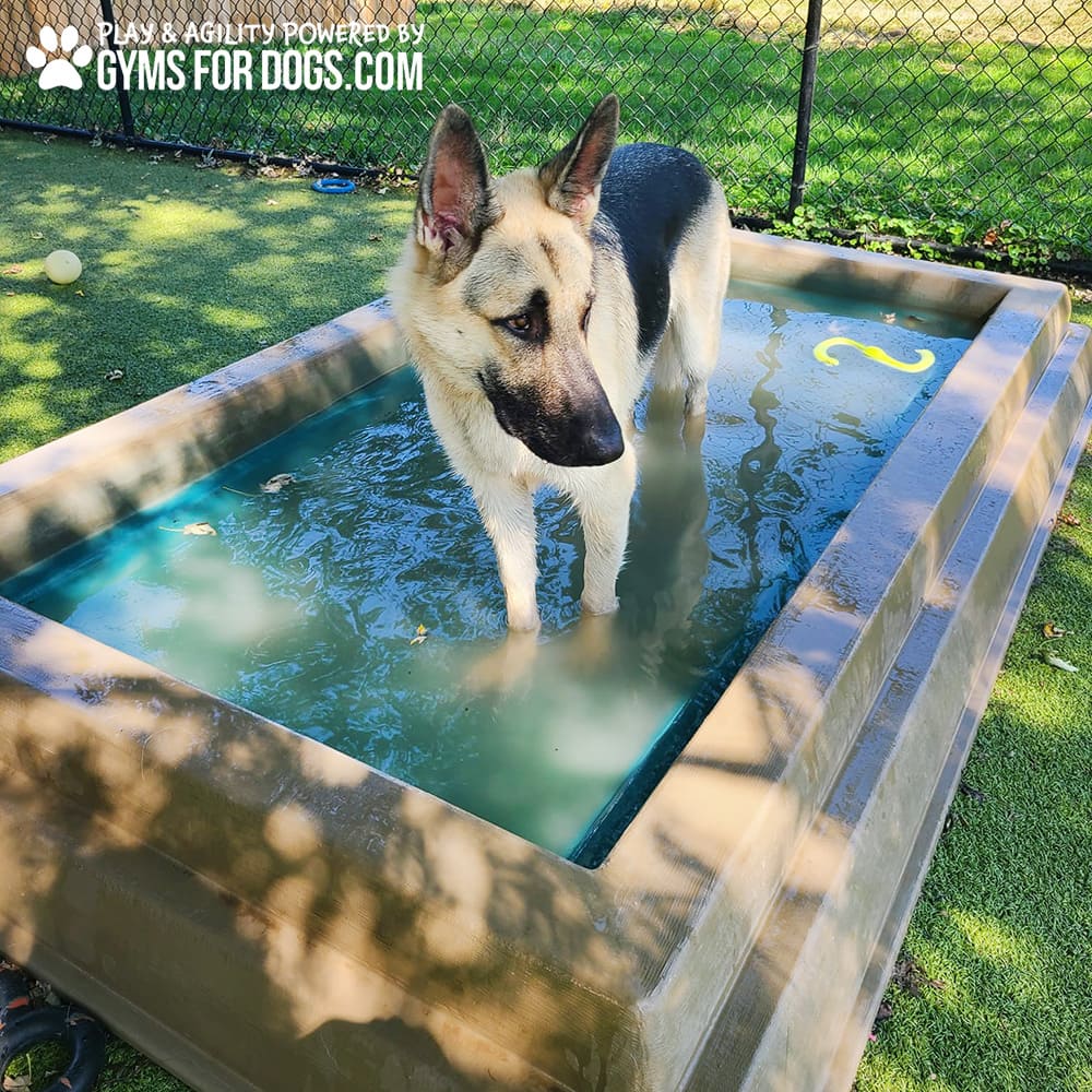 Dog Playground Equipment Cool Dog Splash Pool 095