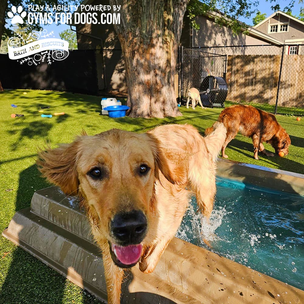 Dog Playground Equipment Cool Dog Splash Pool 10