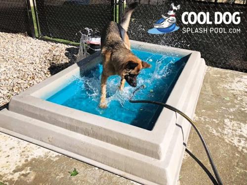Cool-Dog-Splash-Pool-For-Dogs1.