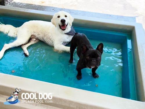 Cool-Dog-Splash-Pool-For-Dogs15